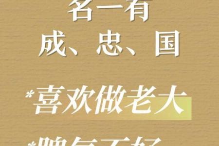 2023年属龙人：生命中的转折与成长之路