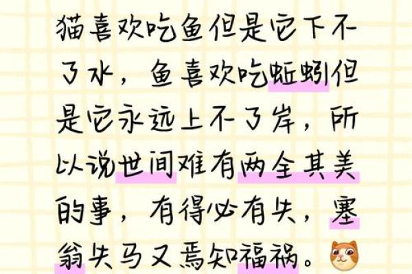 幽默九命猫:生活中的小哲学与智慧 幽默九命猫:生活中的小哲学与智慧