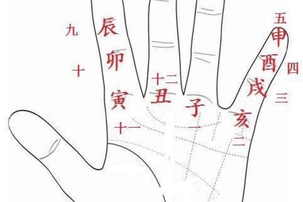 酉时出生的男人命运如何?揭示内心深处的秘密与潜力 酉时出生的男人命运如何?揭示内心深处的秘密与潜力