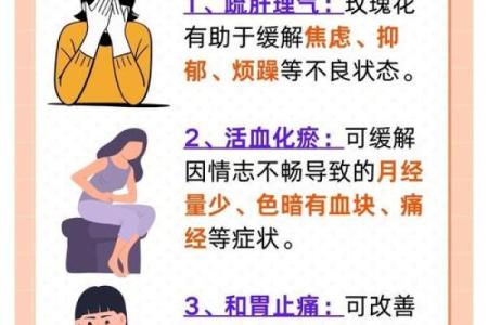 花草命：解读花草背后的深刻意义与文化魅力