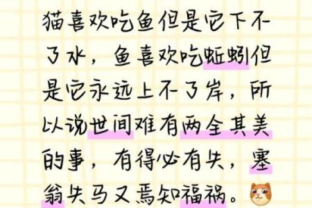 幽默九命猫：生活中的小哲学与智慧