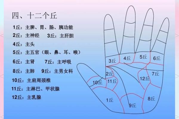 掌中有酒窝,命运如何解读? 掌中有酒窝,命运如何解读?