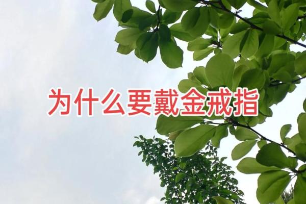 1976年蛇命缺什么？揭开命运的神秘面纱！