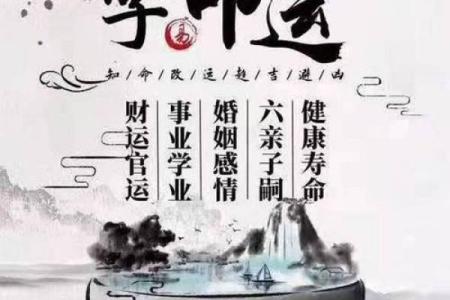 1979年命卯时的神秘与奇遇：解析命理与人生的交织