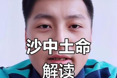 1976年蛇命缺什么？揭开命运的神秘面纱！