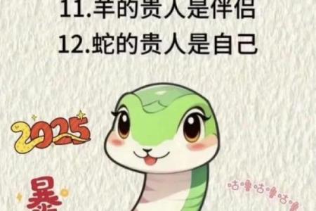 根据生肖解析人生命运：你是生肖的主人公