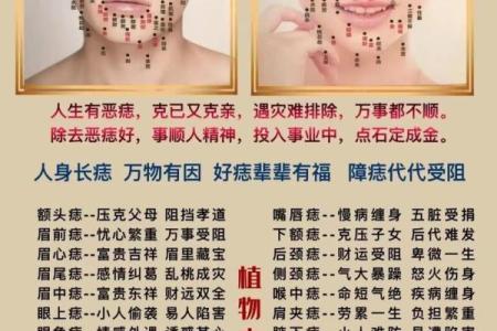 女命下巴短象征着哪些性格特征和命运轨迹？