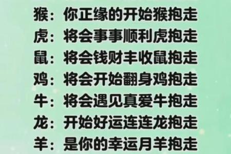 火命人与生肖配对：理想伴侣与婚恋选择的指南