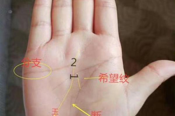 手上纹路揭秘：从命运的角度看你的生活运势