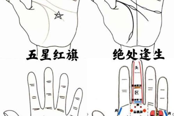 手上纹路揭秘：从命运的角度看你的生活运势