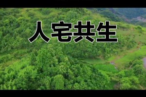 揭开1977年宅命的神秘面纱:让你了解住宅与命运的微妙联系 揭开1977年宅命的神秘面纱:让你了解住宅与命运的微妙联系
