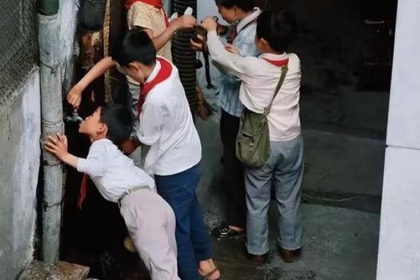 1991年8月的夏日记忆：风筝与童年的欢笑