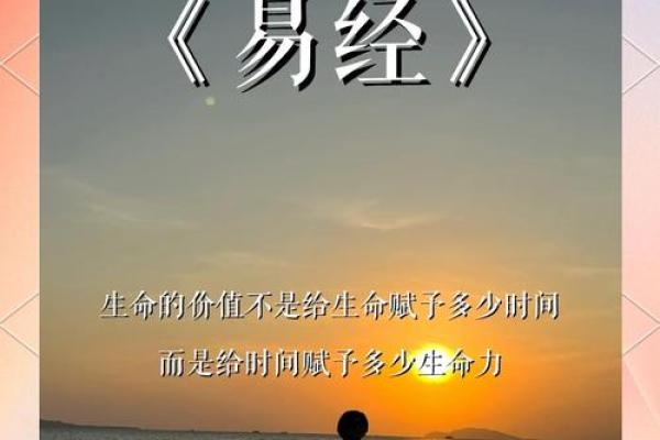 《易经智慧：解读命与运的深刻关系》