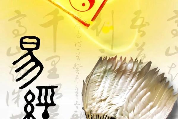 《易经智慧：解读命与运的深刻关系》