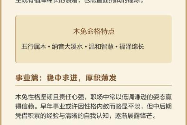 1978年出生的人命格解析与人生运势展望