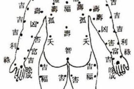 肩膀上的痣：命运的象征与解读，探秘人生中的神秘信号