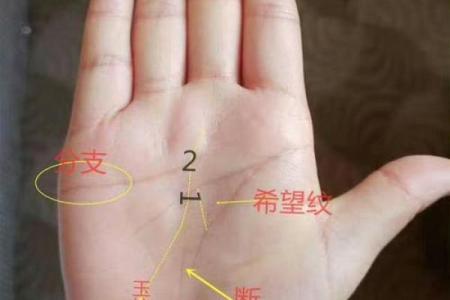 手上纹路揭秘：从命运的角度看你的生活运势