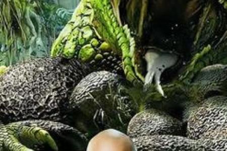 海底金与命运之灵：深海中的财富与生辰的奥秘