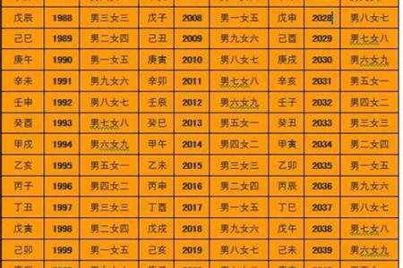 大林木命的人最佳合作伙伴：找到命理的完美契合