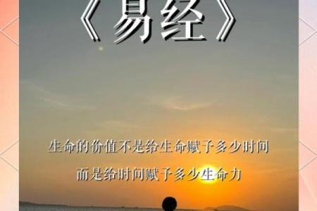 《易经智慧：解读命与运的深刻关系》