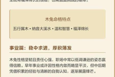 1978年出生的人命格解析与人生运势展望