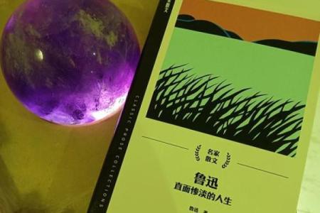 爱书如命：书籍对心灵的滋养和灵魂的升华