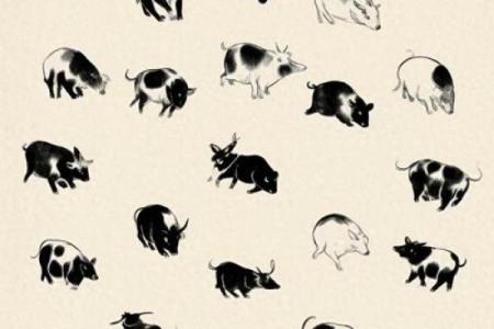 1990年正月21日出生的命运分析与生活启示