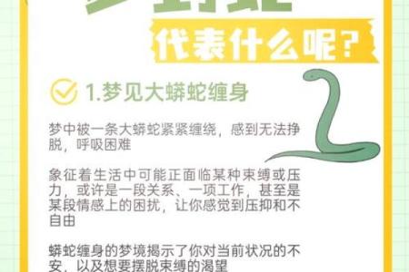 属蛇人：富贵命背后的命理解析与生活智慧