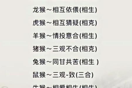 一九九四属狗女性命运解析：性格、缘分与事业发展之路