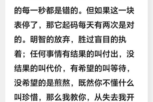 当爱变成了遗憾：解析《赔了你的命》的情感深度