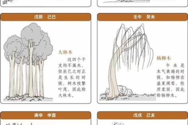 杨柳木命男:人生中的忌讳与智慧 杨柳木命男:人生中的忌讳与智慧