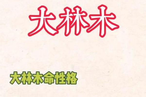 探索大林木命人的内在缺失与成长之路 探索大林木命人的内在缺失与成长之路