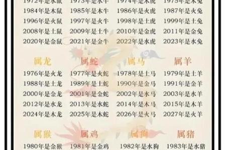 1995年出生的人，命运中的五行之谜与人生启示