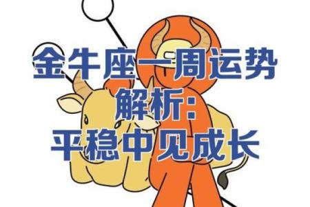 2027年命理解析：什么属性的人会迎来运势攀升？