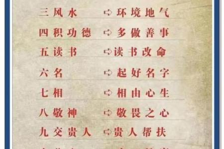 2004年出生的人命运解析：命理与人生的微妙联系