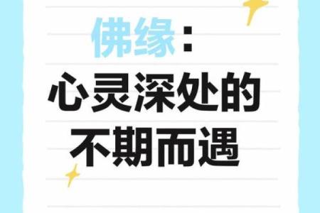 命中注定的选择与佛缘人生的启示