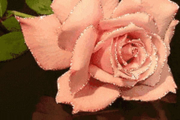 《巳时命理揭秘：你与未来的缘分从此刻启航》