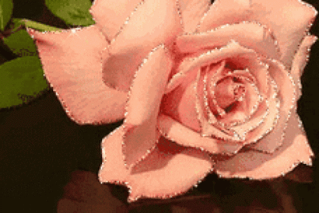 《巳时命理揭秘：你与未来的缘分从此刻启航》