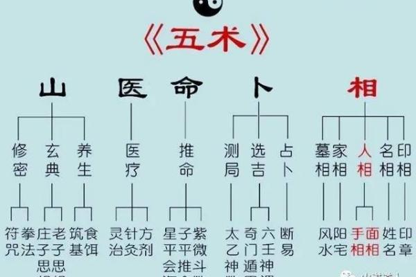 五命凝光与六命凝光:探索两者间的微妙差异与独特魅力 五命凝光与六命凝光:探索两者间的微妙差异与独特魅力