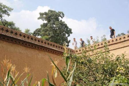 探秘土命男生的独特魅力与生活特点