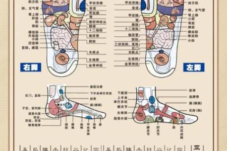 男人脚板弯曲的特征与命运解析：脚下的秘密，人生的方向！