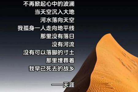 路旁土命与适合城市探讨：寻找理想栖息地与内心的归属感