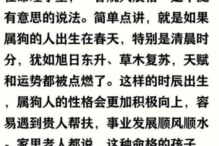 15岁属狗的命格与人生运势解析