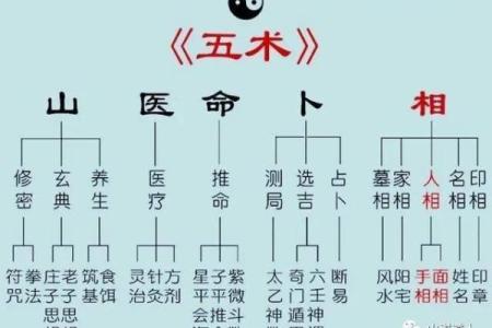 五命凝光与六命凝光：探索两者间的微妙差异与独特魅力