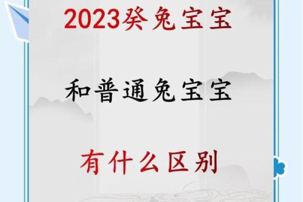 2023年正月：兔年与癸水命的深刻启示与未来展望