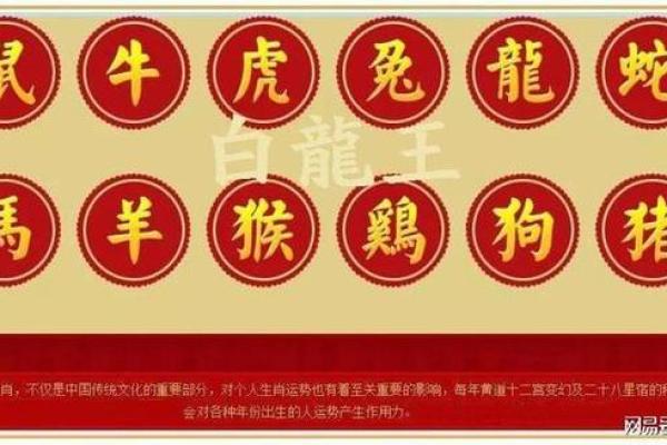 2022年的生肖与命运:解析虎年出生人的特质与人生之路 2022年的生肖与命运:解析虎年出生人的特质与人生之路