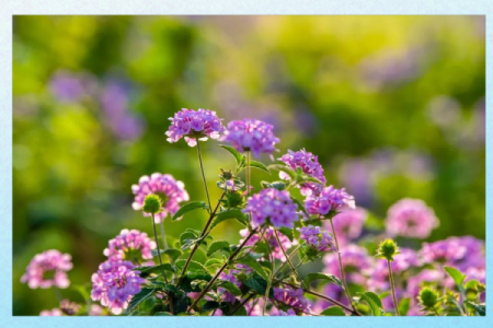 命夸娥氏的命：探寻命运与自我的深刻联系