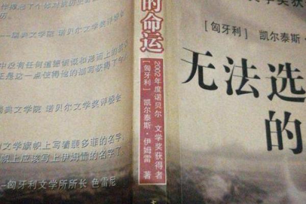 1994年2月的迷雾:命运与选择的交织之旅 1994年2月的迷雾:命运与选择的交织之旅