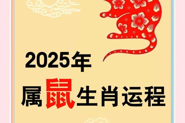 2020年鼠年运势分析:揭示鼠生肖的命格奥秘与未来发展 2020年鼠年运势分析:揭示鼠生肖的命格奥秘与未来发展