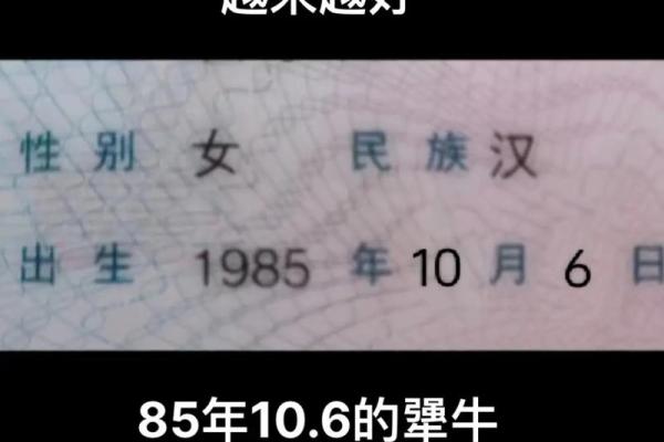 1972年属牛的人是什么命?探讨命运与性格的深度解析 1972年属牛的人是什么命?探讨命运与性格的深度解析